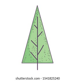 pine tree foliage botanical cartoon icon vector illustration