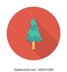  pine tree forest 