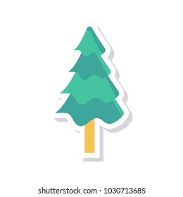  pine tree forest 