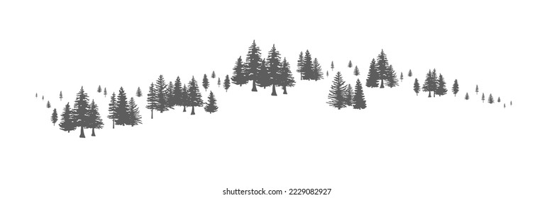 Pine Tree Forest Background. Spruce tree silhouette. Spruce tree Forest Background.