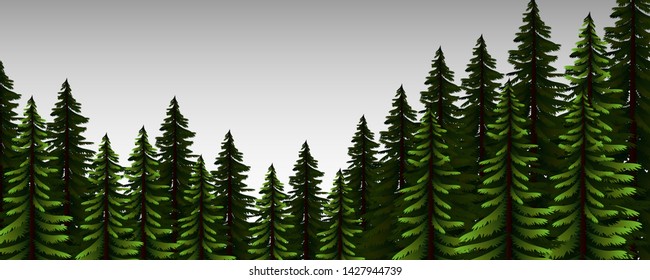 Pine tree forest graphic vector