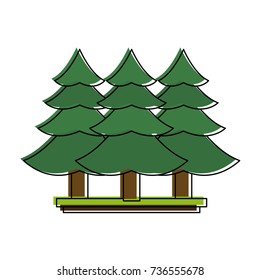 pine tree forest icon image 