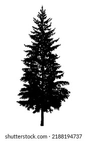 pine tree forest silhouette icon