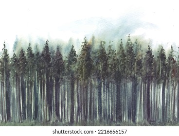 Pine tree forest in watercolor painting