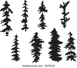 Pine tree freehand illustrated design elements.