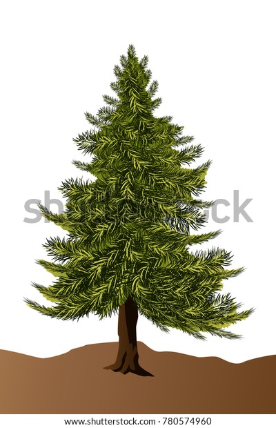 Pine Tree Graphic Vector Stock Vector (Royalty Free) 780574960