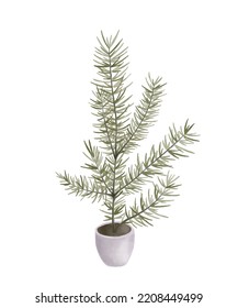 Pine tree growing in ceramic pot in watercolour style isolated on white background. Miniature potted plants in the style of New year and Christmas for home 