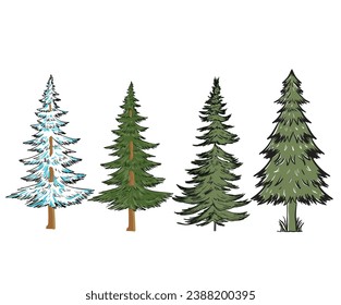 Pine tree hand sketch. Watercolor tree vector design. 