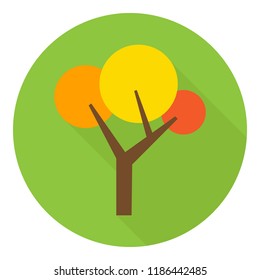 Pine. Tree icon