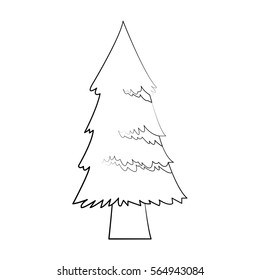 pine tree icon