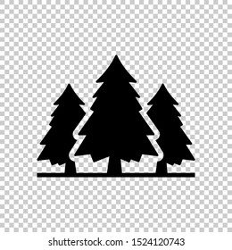 pine tree icon evergreen isolated on transparent background