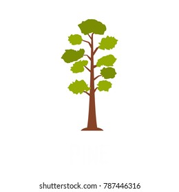 Pine tree icon. Flat illustration of pine tree vector icon isolated on white background