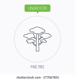 Pine tree icon. Forest wood sign. Nature environment symbol. Linear outline circle button. Vector