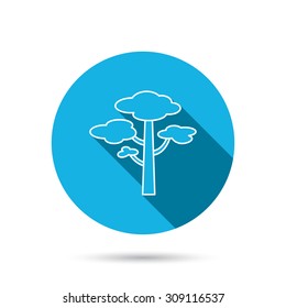 Pine tree icon. Forest wood sign. Nature environment symbol. Blue flat circle button with shadow. Vector
