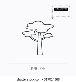 Pine tree icon. Forest wood sign. Nature environment symbol. Linear outline icon. Speech bubble of dotted line. Vector