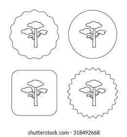 Pine tree icon. Forest wood sign. Nature environment symbol. Flat circle, star and emblem buttons. Labels design. Vector