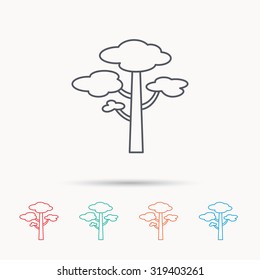 Pine tree icon. Forest wood sign. Nature environment symbol. Linear icons on white background. Vector