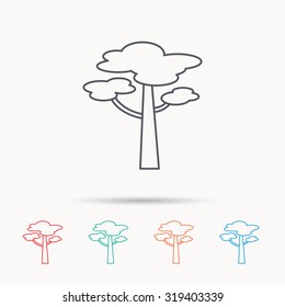 Pine tree icon. Forest wood sign. Nature environment symbol. Linear icons on white background. Vector