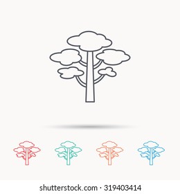 Pine tree icon. Forest wood sign. Nature environment symbol. Linear icons on white background. Vector