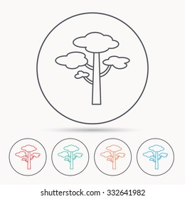 Pine tree icon. Forest wood sign. Nature environment symbol. Linear circle icons.
