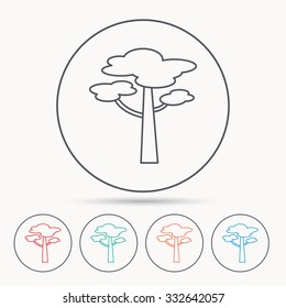 Pine tree icon. Forest wood sign. Nature environment symbol. Linear circle icons.