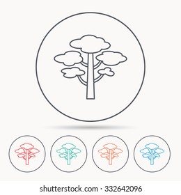 Pine tree icon. Forest wood sign. Nature environment symbol. Linear circle icons.