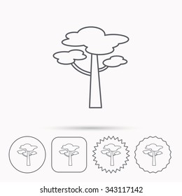 Pine tree icon. Forest wood sign. Nature environment symbol. Linear circle, square and star buttons with icons.