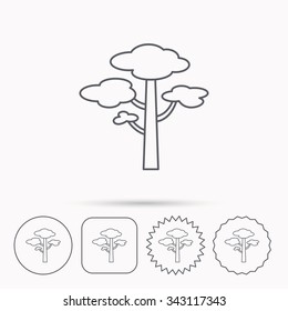 Pine tree icon. Forest wood sign. Nature environment symbol. Linear circle, square and star buttons with icons.