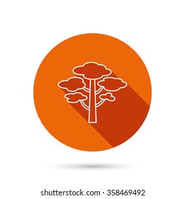 Pine tree icon. Forest wood sign. Nature environment symbol. Round orange web button with shadow.
