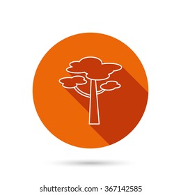 Pine tree icon. Forest wood sign. Nature environment symbol. Round orange web button with shadow.