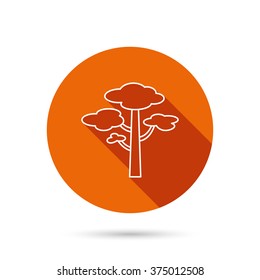 Pine tree icon. Forest wood sign. Nature environment symbol. Round orange web button with shadow.