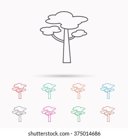 Pine tree icon. Forest wood sign. Nature environment symbol. Linear icons on white background.