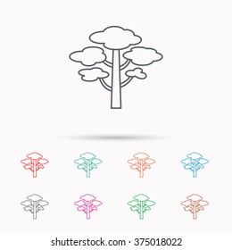 Pine tree icon. Forest wood sign. Nature environment symbol. Linear icons on white background.