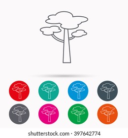 Pine tree icon. Forest wood sign. Nature environment symbol. Linear icons in circles on white background.