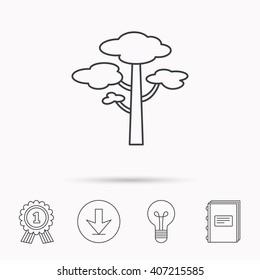 Pine tree icon. Forest wood sign. Nature environment symbol. Download arrow, lamp, learn book and award medal icons.