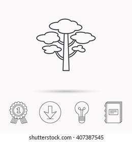 Pine tree icon. Forest wood sign. Nature environment symbol. Download arrow, lamp, learn book and award medal icons.