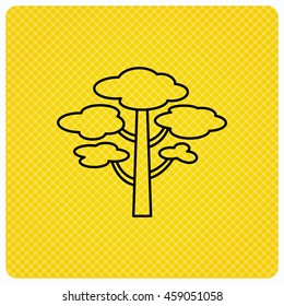 Pine tree icon. Forest wood sign. Nature environment symbol. Linear icon on orange background. Vector