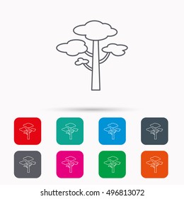 Pine tree icon. Forest wood sign. Nature environment symbol. Linear icons in squares on white background. Flat web symbols. Vector