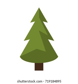 pine tree icon image 