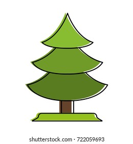 pine tree icon image 