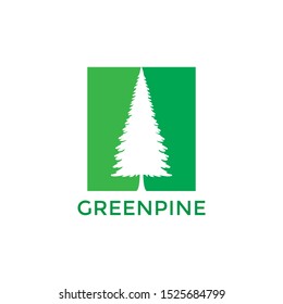 Pine tree icon logo design. vector illustration