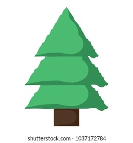 pine tree icon over white background, colorful design. vector illustration