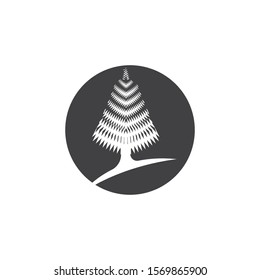 pine tree icon template vector