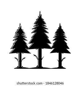 Pine tree icon vector in trendy