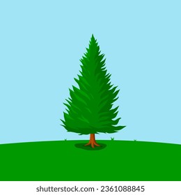 pine tree illustration. Illustration of a big pine tree