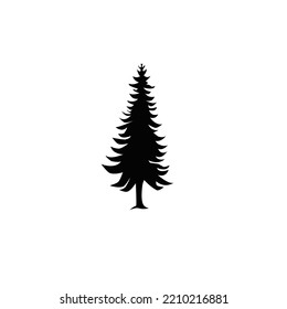 pine tree illustration for an interesting design
