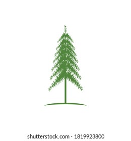 Pine tree ilustration logo vector design