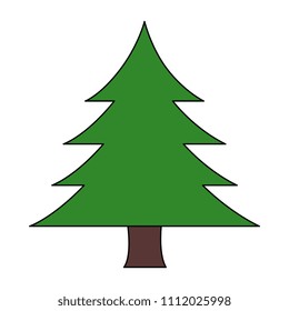 pine tree isolated icon