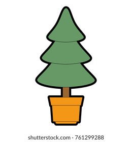 pine tree isolated icon