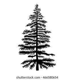 Pine tree isolated on white background, silhouette woods and fir tree for your design, isolated.